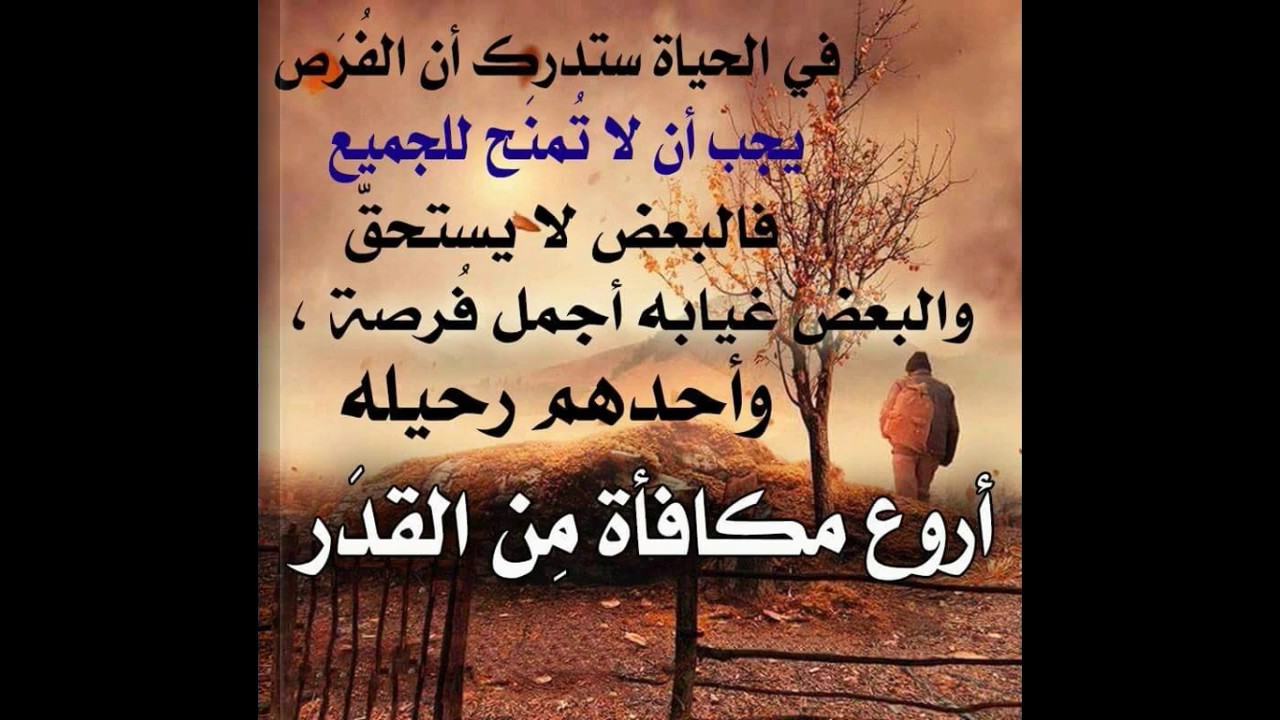 صور جميلة عن الحياة - صور رائعه ومميزه عن الحياة 3892 6