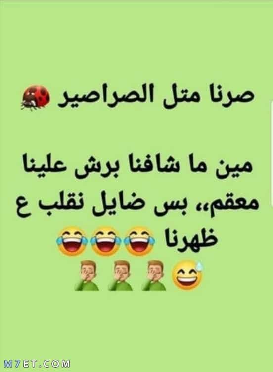 نكت مضحكة 5975 1