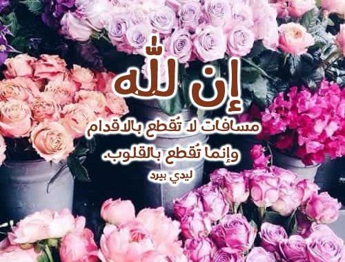 حالات واتس اب دينيه - اجعل حالاتك دينيه جميلة - 6346 5