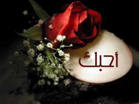 صور حلوه وجميله - احلى صور مميزة وجميلة لتستمع بها 3398 2