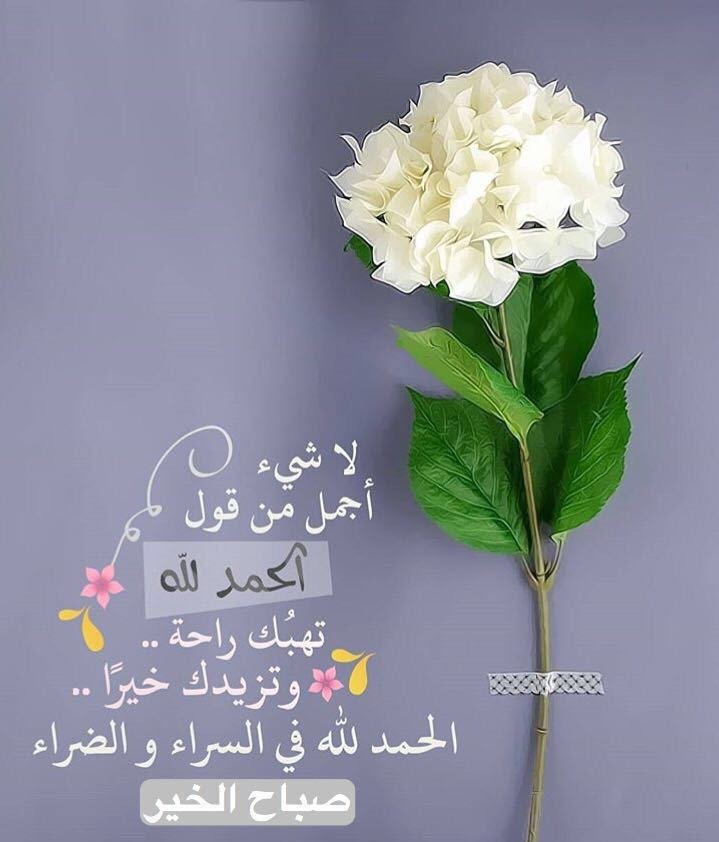 صباح البركة 6069 9