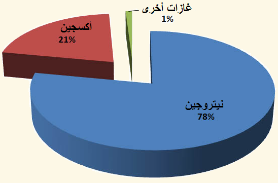 مكونات الهواء - تعرف على مما يتكون الهواء 2763