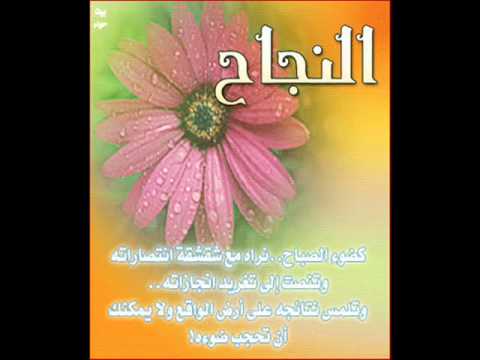 شعر عن النجاح - اسمع ماذا قال الشعراء عن النجاح 898