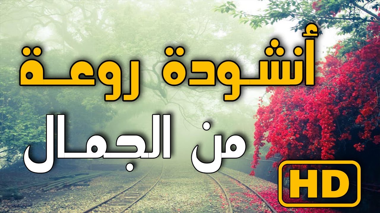 اناشيد دينية - ماهى بدايه الانشاد الديني 6540 1