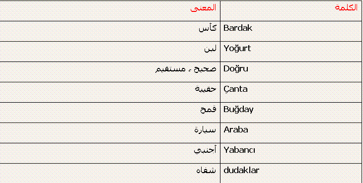 كلمات بالتركي - كلام باللغه التركيه 3300