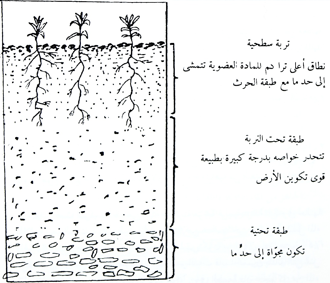 مكونات التربة - ماهى خصائص التربه الزراعيه ومكوناتها 6635