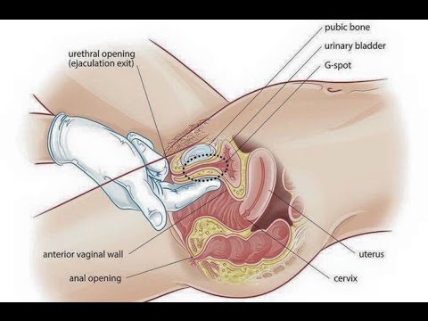 كيف يفض الزوج بكارة زوجته بالصور - الطريقه السليمه لفض غشاء البكاره بدون الم نهائيا 5424 1