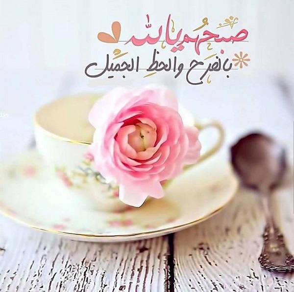 صور صباحيات - اجمل ما يقال في الصباح 3532 9