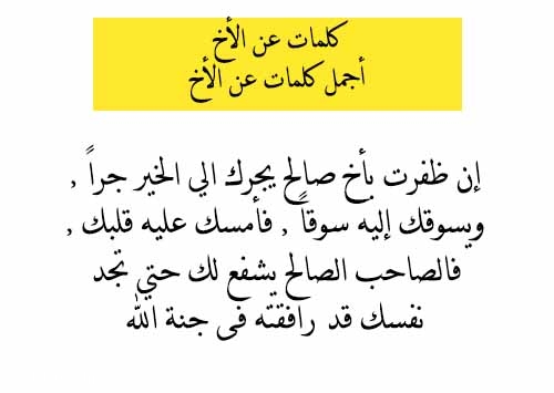 مقولات عن الاخ - عندما نقع تقول اخ - الاخ هو السند في الحياة 2490 8