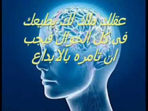 كيف تصبح ذكيا - ما هو تعريف الذكاء 2729 1