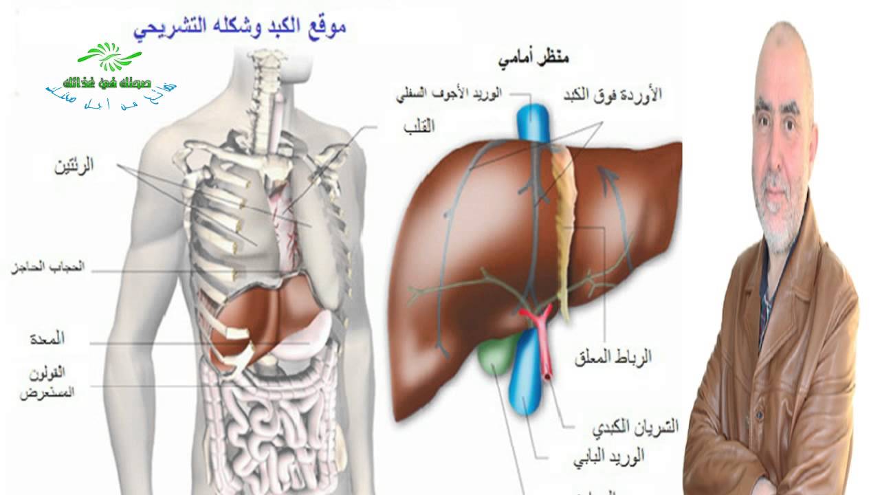 اعراض مرض الكبد - اسباب مرض الكبد 4016 2