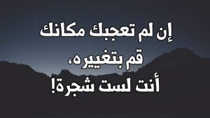 احكام وامثال عن الحياة - جمال الحياة 12400 8