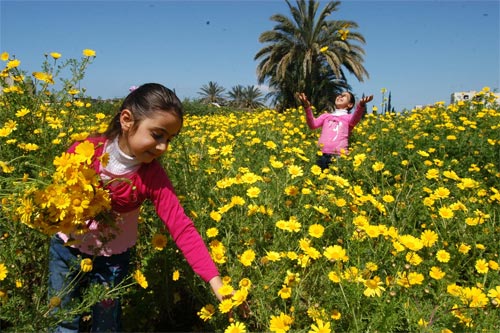 صور فصل الربيع - اجمل صور فصل الربيع و جمال الزهور 4775 1