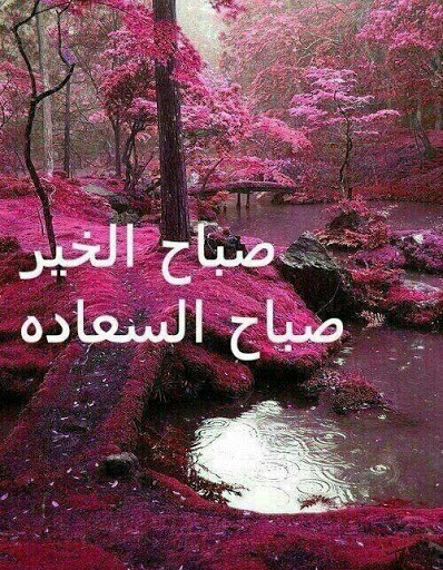 صور صباح ومساء الخير - رمزيات صباحية ومسائية 461 5