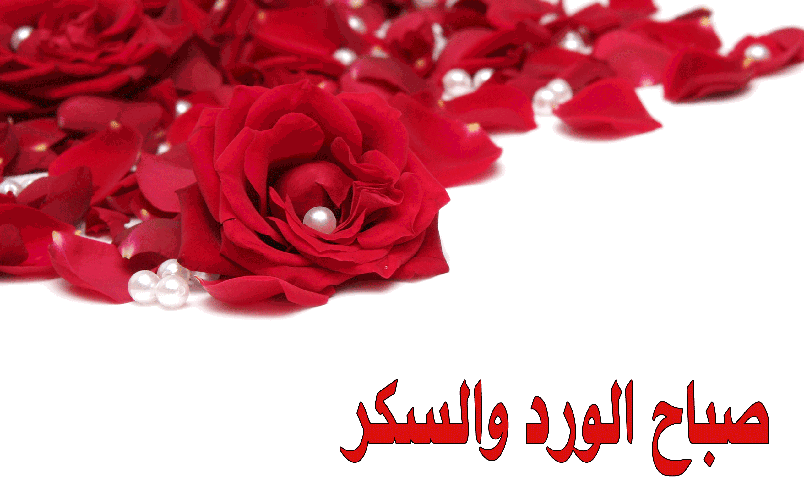 5251 صورصباح الخير متحركة , اجمل صور صباح الخير غزالة الشوق