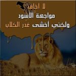 5260 1.Jpeg عبارات حكم , اجمل العبارات والحكم U19
