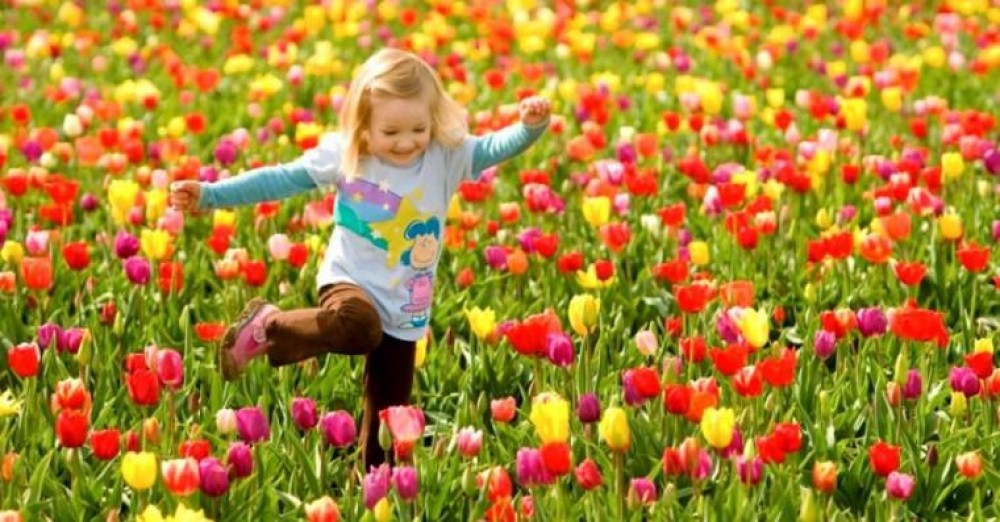 صور فصل الربيع , اجمل صور فصل الربيع و جمال الزهور قصة شوق