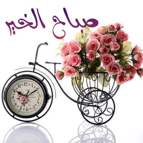5295 10 صباح الصباح , اجمل صباح الخير غزالة الشوق