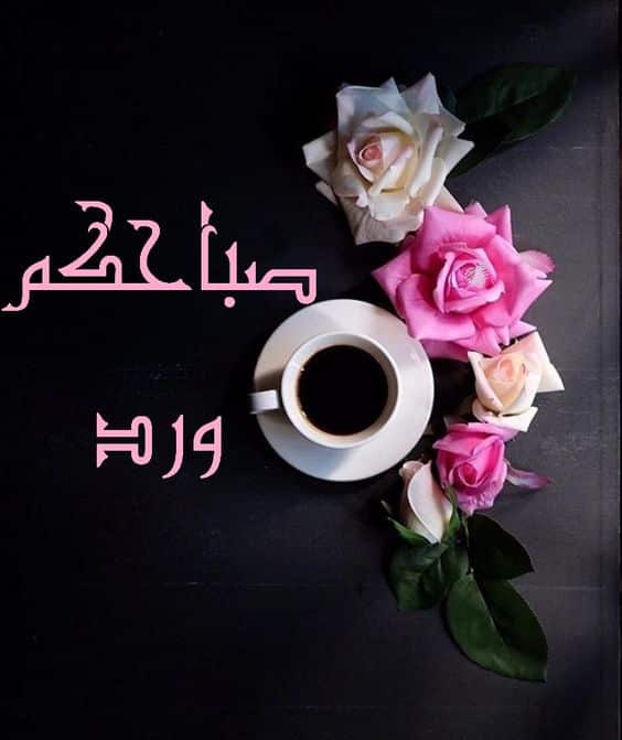 5295 5 صباح الصباح , اجمل صباح الخير غزالة الشوق