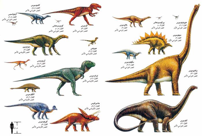 معلومات عن الديناصورات , مخلوقات عملاقة وانقرضت