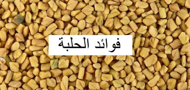 فوائد الحلبة , اهمية الحبة الصفراء للانسان