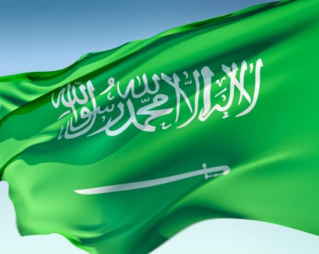 سكرابز علم السعودية png tree