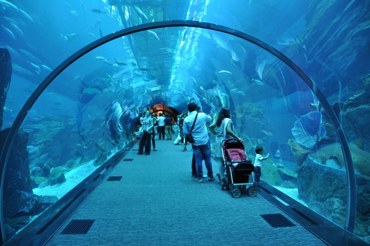 6538 4 اماكن سياحية في دبي للعائلات.اهم الاماكن السياحيه فى دبي زهور ايثار