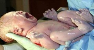 12824 2 تفسير حلم ولادة الام , تفسير حلم ولادة الام للمرأة U19